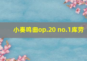 小奏鸣曲op.20 no.1库劳